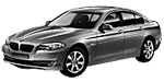 BMW F10 P0427 Fault Code